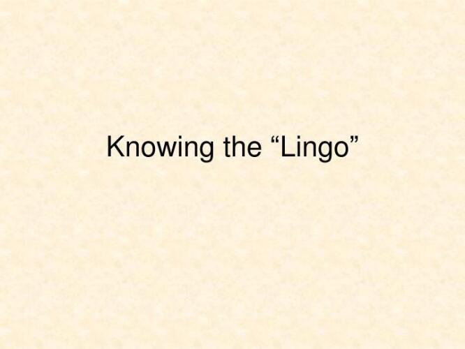 The Lingo - be in the know.